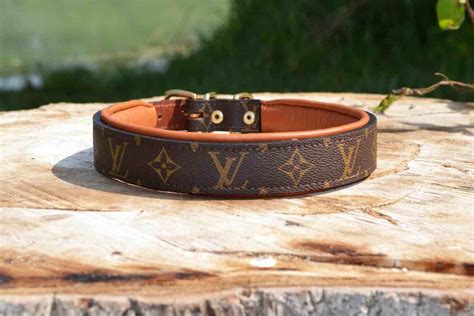 louis vuitton canine collection|louis vuitton dog collar.